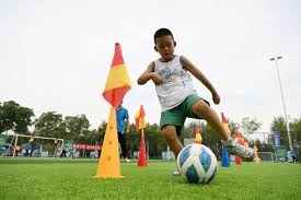 这波操作真是离谱又好看